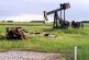 Varcoe: Smaller companies are biggest winners in oilfield cleanup bonanza