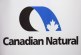 Canadian Natural to take over Painted Pony Energy in $461-million deal