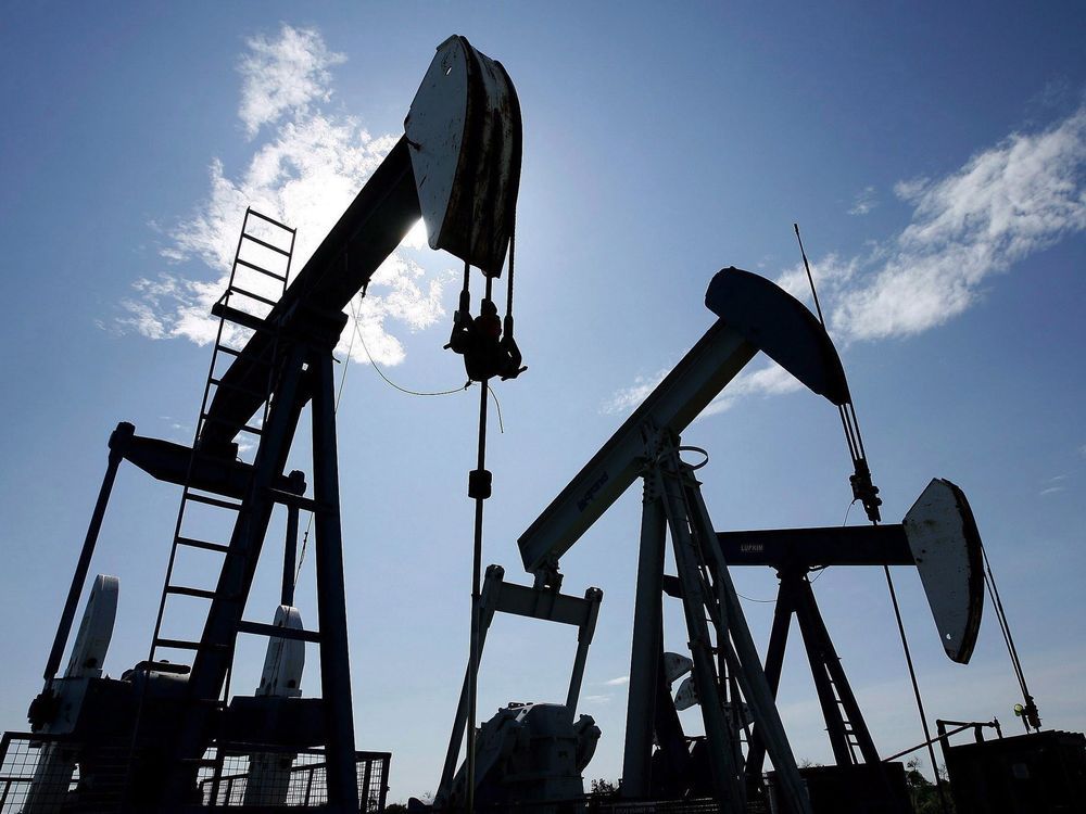  Pumpjacks at work pumping crude oil near Halkirk, Alta., June 20, 2007.