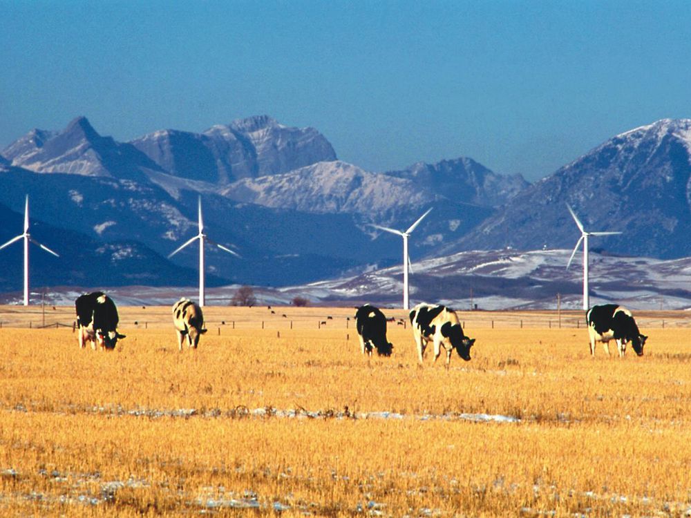  Canada’s first wind-energy instalment, built in 1993, is nestled in the Alberta Rockies overlooking Pincher Creek.