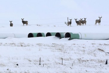 Varcoe: If Alberta wants KXL for dessert, it will have to eat Ottawa’s environmental vegetables