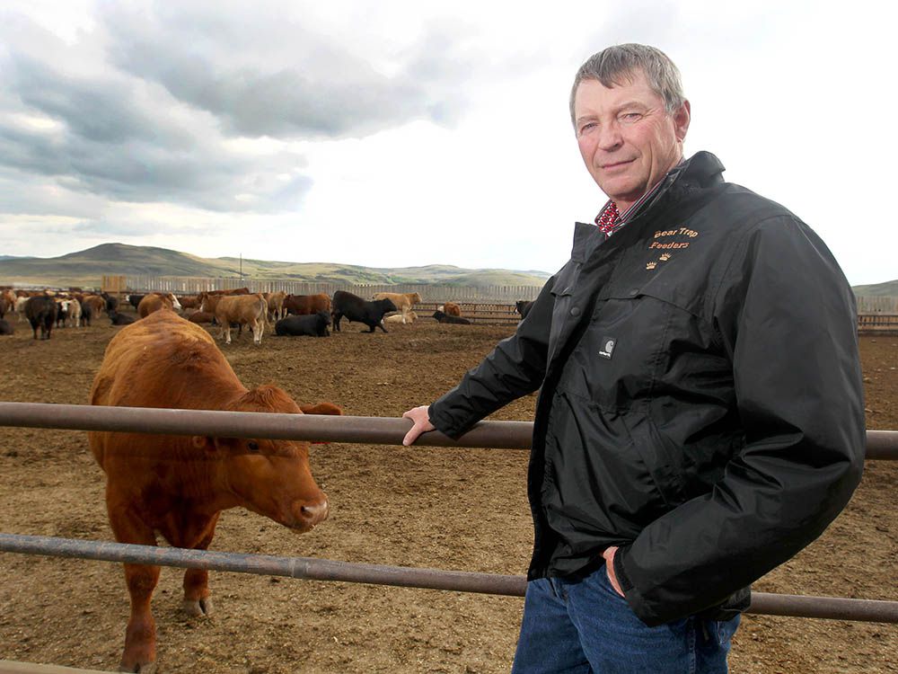  Rancher Bob Lowe is shown at Bear Trap Feeders Thursday April 28, 2016 west of Nanton, Alta, south of Calgary, Alta.