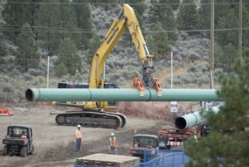 Energy regulator orders Trans Mountain to stop tree clearing work on project