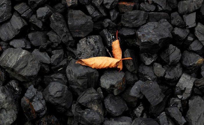 ‘Inexplicably frozen’: Judge quashes Ottawa’s Coalspur order as it failed to consult with Ermineskin Cree Nation