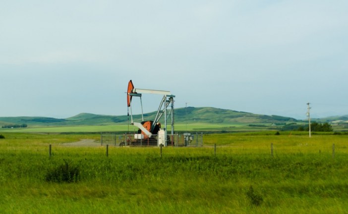 Oil steady while slowdown worries limit price gains