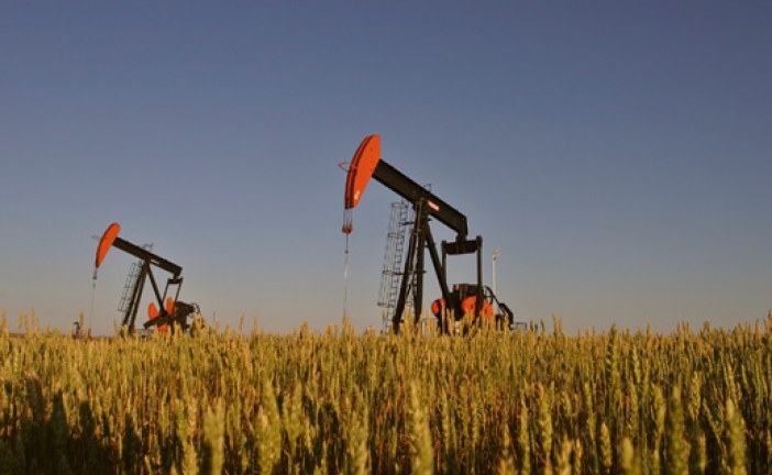 Oil rises on Saudi oil production expectations