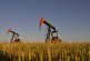 Oil rises on Saudi oil production expectations