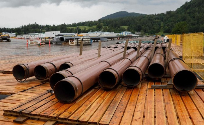 Ottawa’s last-minute interventions in energy projects eroding Canadian regulators’ independence