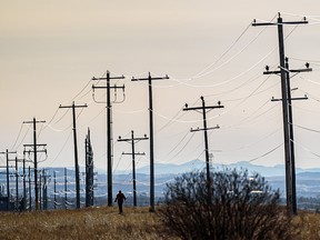 A pedestrian walks along the pathway in Valleyview Park as the afternoon sun shines on the power lines on Wednesday, November 17, 2021.