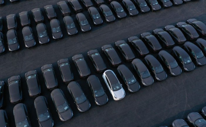 ‘War on climate change’: Tesla-backed engineer Jeff Dahn seeks a million-mile battery