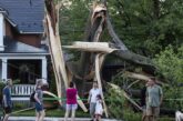 Storm leaves at least nine dead, many powerless