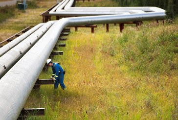 14 months later, Alberta energy sector still waiting for ruling on ‘No More Pipelines’ Act