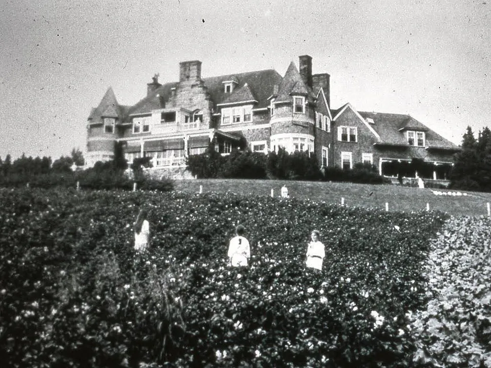 A field of potatoes is planted in front of Beinn Bhreagh, the home of Alexander Graham Bell and Mabel Bell in Baddeck, N.S. during the First World War in order to help feed neighbours.