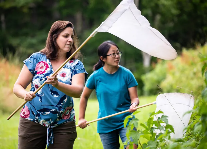 Cape Breton University researcher Alana Pindar, left, and CBU student Anna Fenton try to net bees in what used to be Mabel Bell's garden at Beinn Bhreagh in Baddeck, N.S., on July 22, 2022.