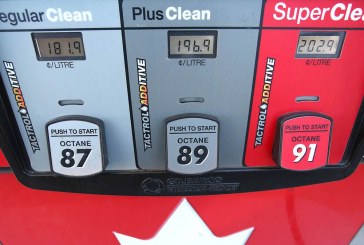 ‘We won’t accept any games’: Kenney wants competition bureau to probe Alberta’s high gas prices