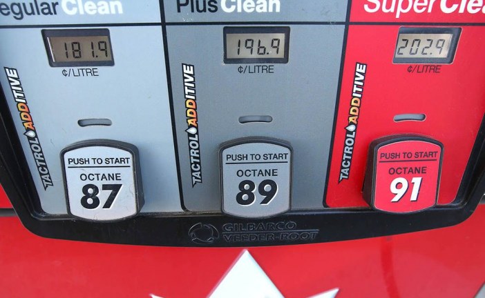 ‘We won’t accept any games’: Kenney wants competition bureau to probe Alberta’s high gas prices