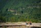 Enbridge takes 30% stake in Woodfibre LNG project