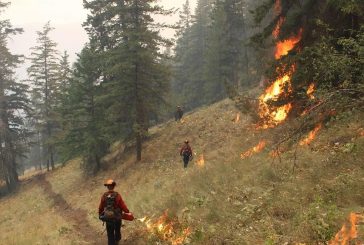 BC Wildfire Service plans control burns to bring Okanagan wildfire in check