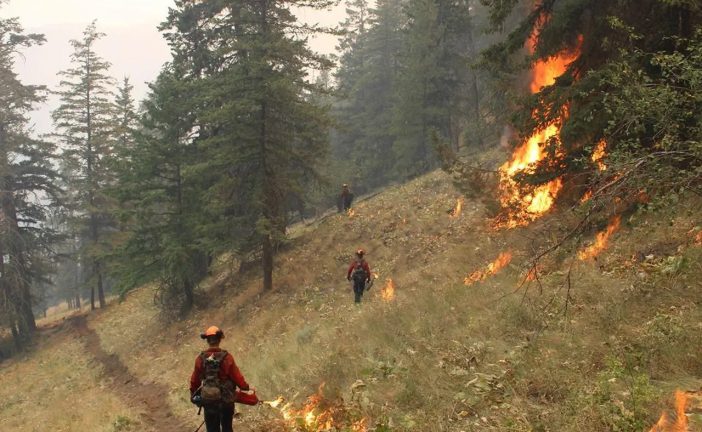 BC Wildfire Service plans control burns to bring Okanagan wildfire in check