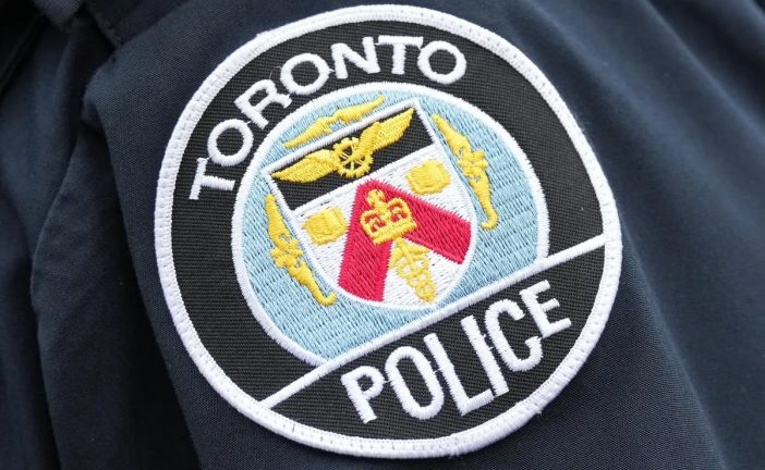 Toronto police investigating after two dogs stolen at knifepoint