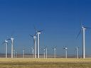 TransAlta wind farm near Pincher Creek.