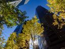 Downtown Calgary high-rises are framed by the fall-coloured leaves on Wednesday, September 28, 2022.