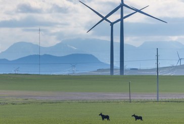 Alberta made estimated $160M from Renewable Energy Program as power prices surged: U of C report