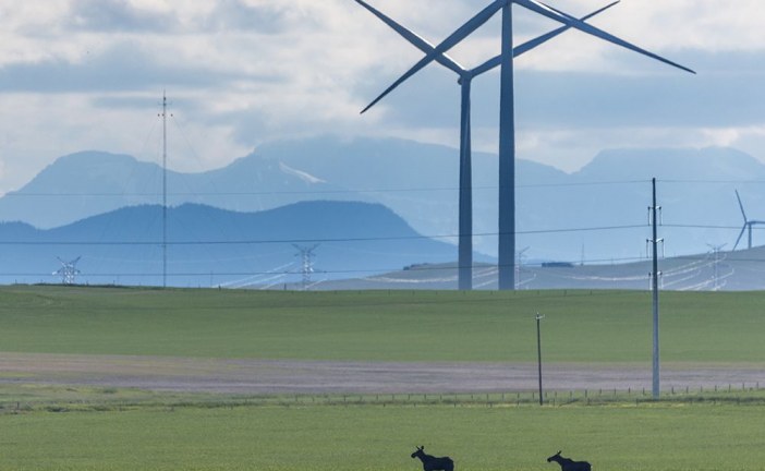 Alberta made estimated $160M from Renewable Energy Program as power prices surged: U of C report