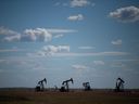 Pumpjacks on wells belonging to Whitecap Resources in Saskatchewan. BRANDON HARDER/ Regina Leader-Post