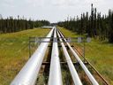 Oil, steam and natural gas pipelines run through the forest at the Cenovus Foster Creek oilsands operations.