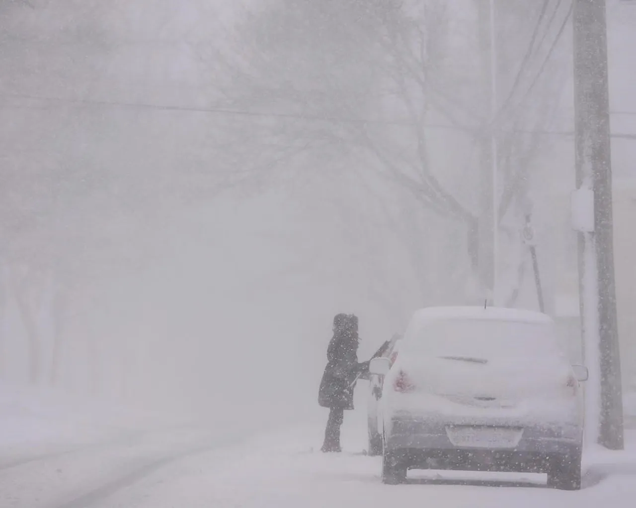 Winter Storm Forces School Closures In Parts Of The Maritimes Biocap
