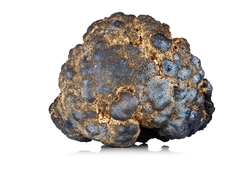 A polymetallic nodule containing nickel, copper, cobalt and manganese, collected from by TMC subsidiary Nauru Ocean Resources Inc. in March 2020.