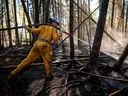 A Canadian Forces member from 41 Canadian Brigade Group extinguishes a hot spot while fighting wildfires in Drayton Valley, Alberta, Canada May 15, 2023.  