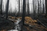 Some residents return, others still wait as damage is assessed from N.S. fires