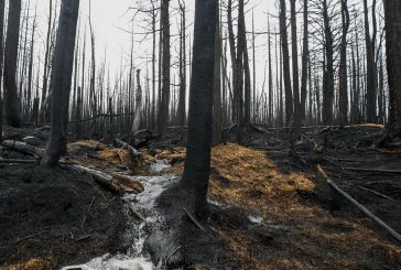 Some residents return, others still wait as damage is assessed from N.S. fires