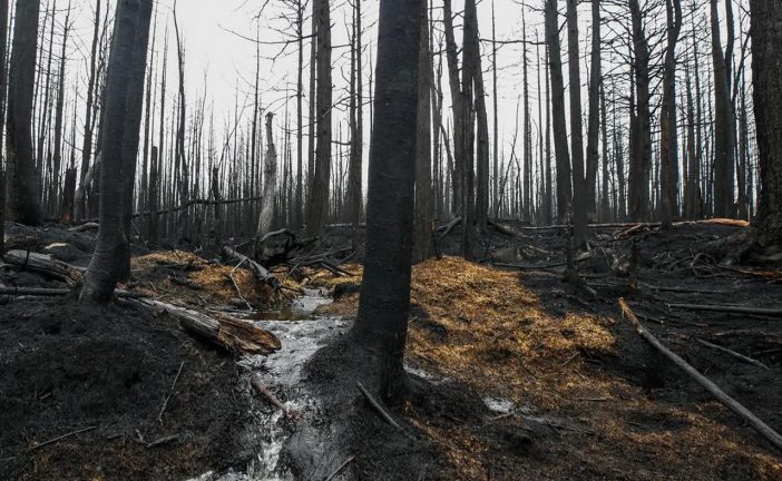 Some residents return, others still wait as damage is assessed from N.S. fires