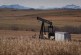 Alberta premier appears to revive controversial oil well cleanup program