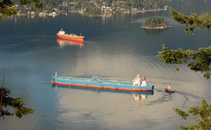 Assessing the Impact of the Carbon Tax on Business Costs in B.C.