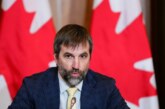 Guilbeault says no exceptions for net-zero grid; Alberta counterpart calls remarks ‘infuriating’