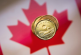 Loonie Drops to 7-Month Low After Bank of Canada Holds Rates