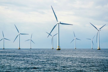 Canada Urged to Get Ambitious to Harness Offshore Wind Potential