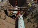 A new report says the coming startup of the Trans Mountain pipeline will help boost Canadian oil production to an all-time record high within the next two years. Workers lay pipe during construction of the Trans Mountain pipeline expansion on farmland, in Abbotsford, B.C., on Wednesday, May 3, 2023.