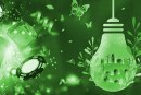 Eco-Friendly Gambling: Online Casinos’ Strategies for Reducing Carbon Emissions
